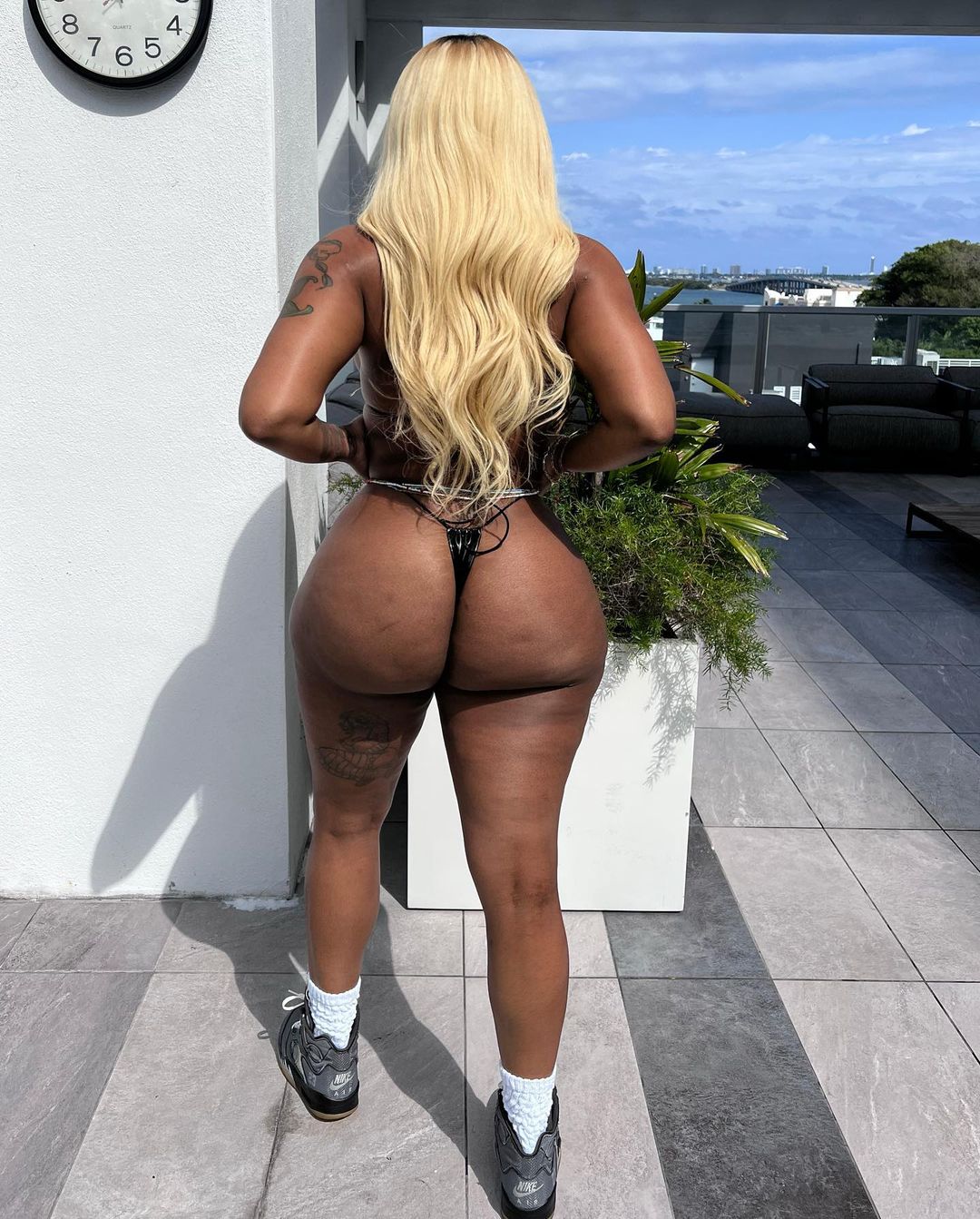 DynastySeries.com
