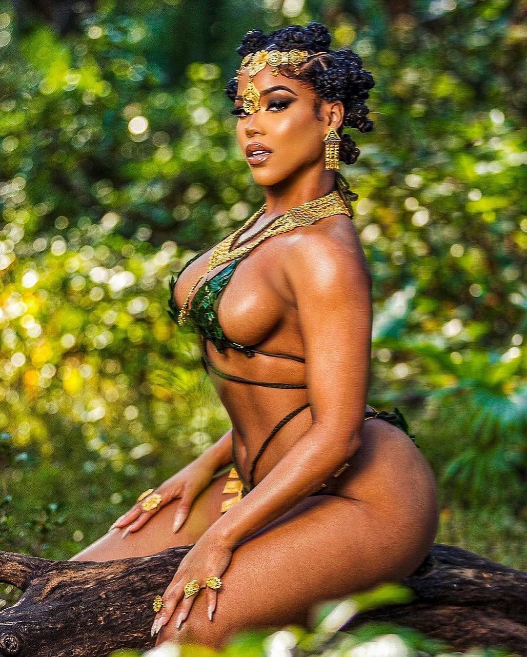 DynastySeries.com