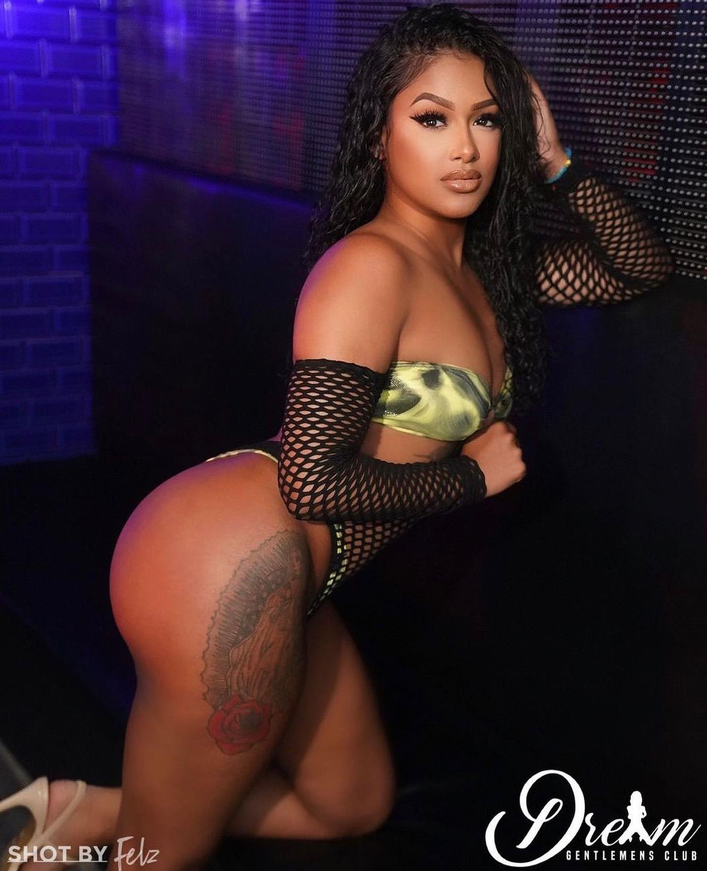 DynastySeries.com