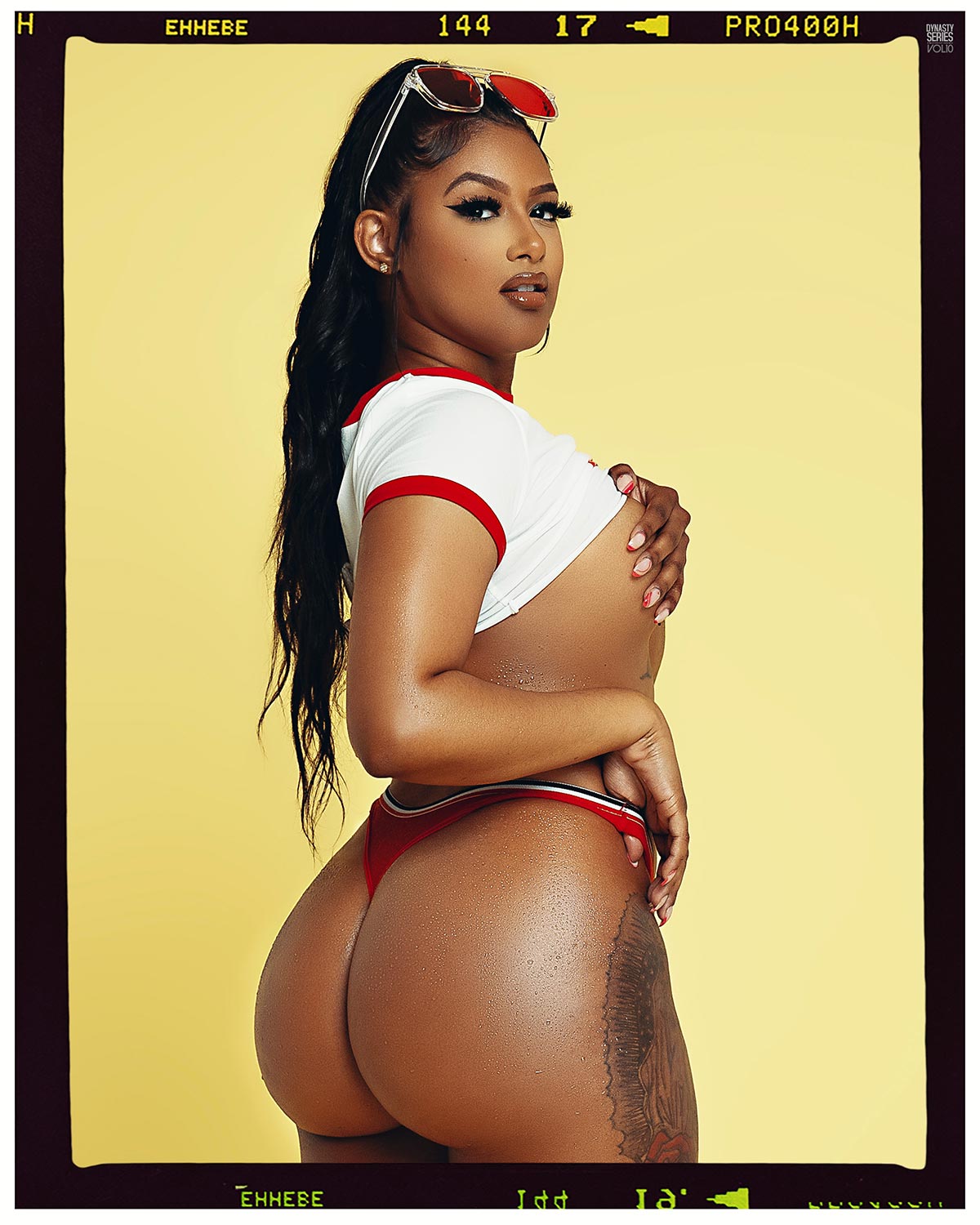 DynastySeries.com