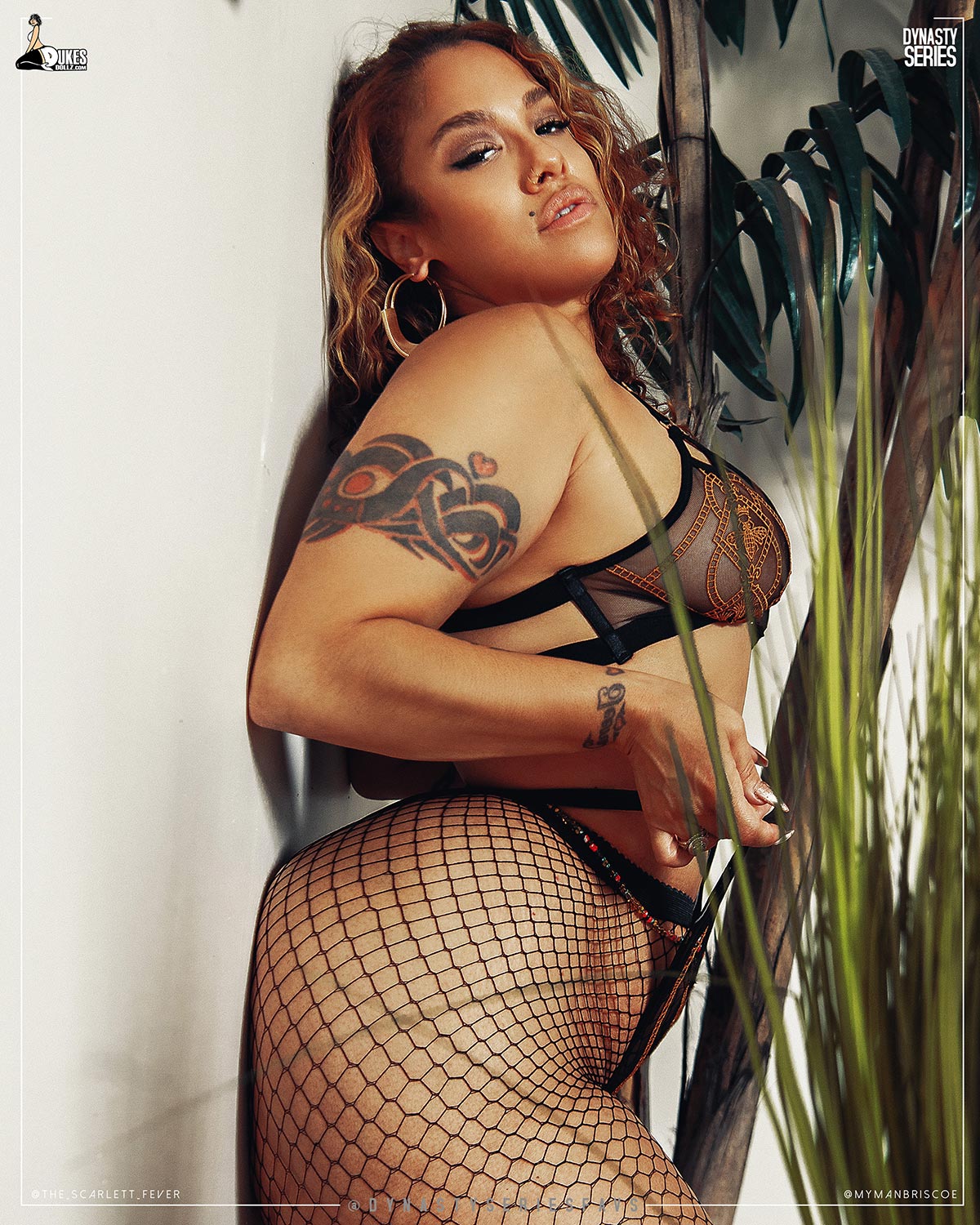DynastySeries.com