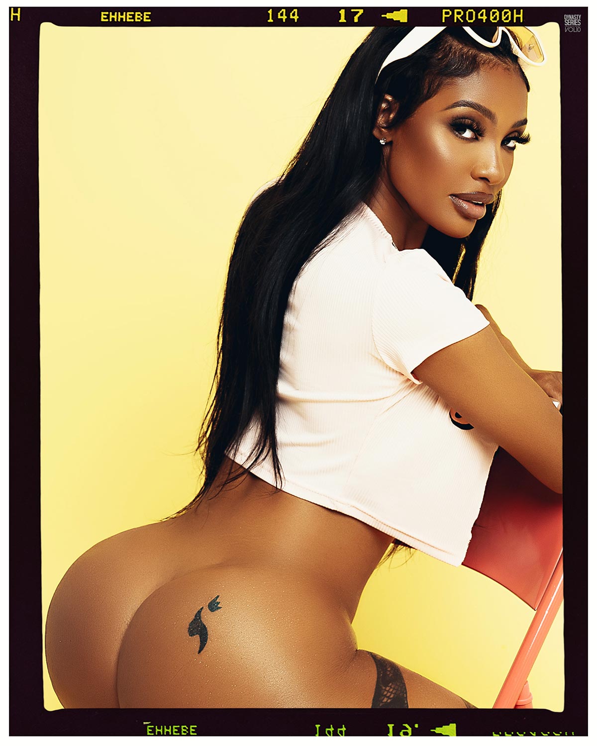 DynastySeries.com