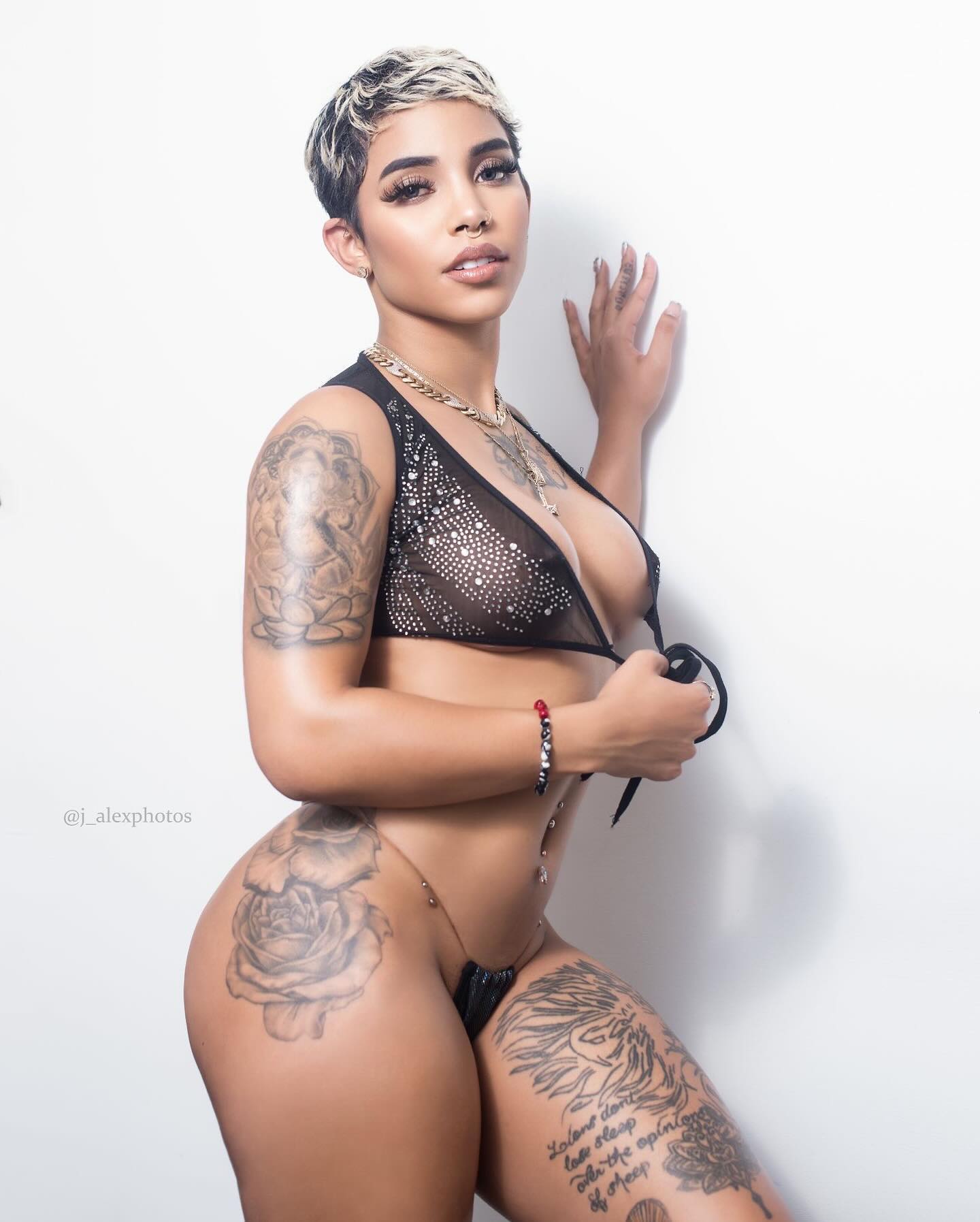 DynastySeries.com