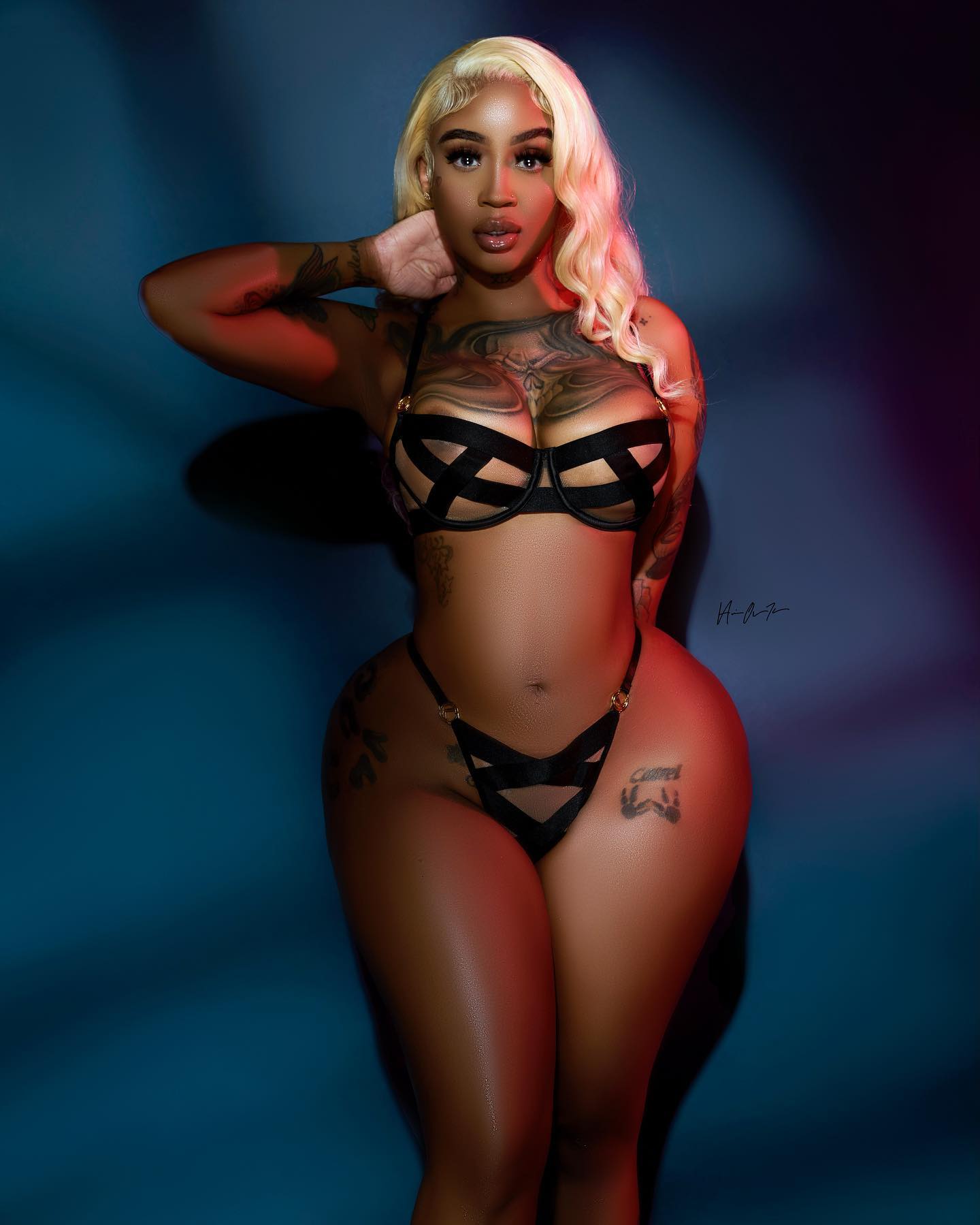 DynastySeries.com