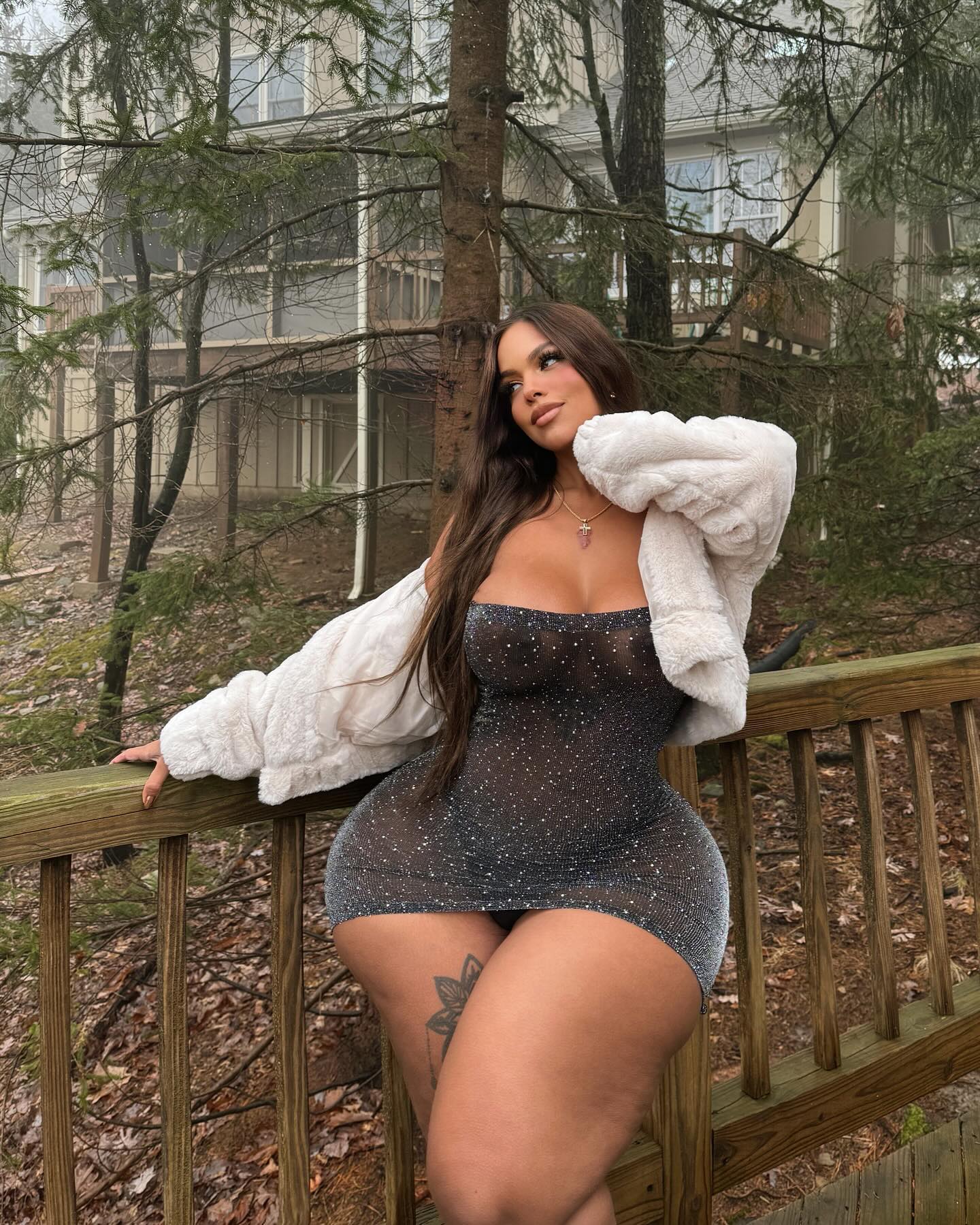 DynastySeries.com