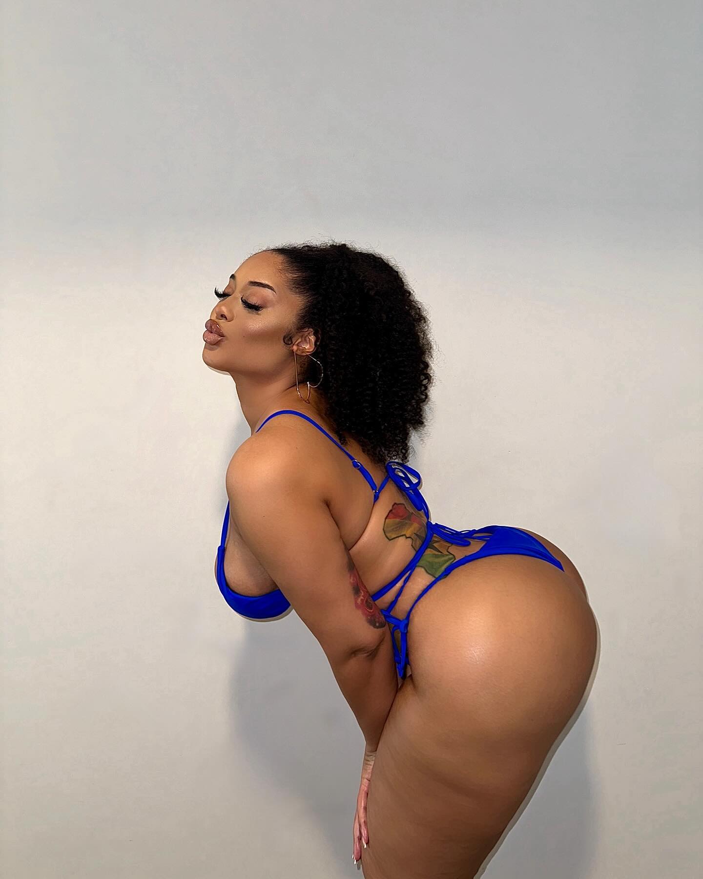 DynastySeries.com