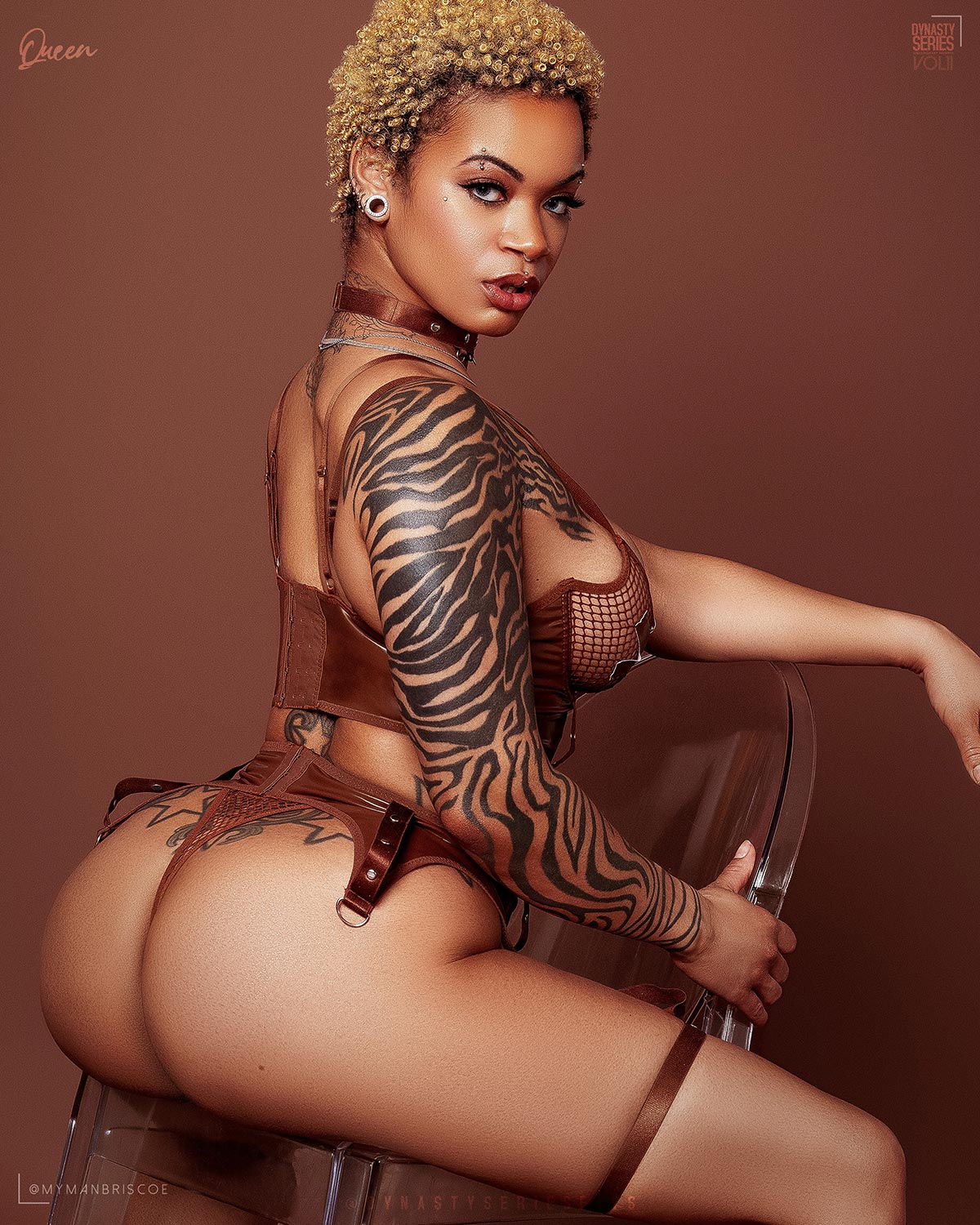 DynastySeries.com