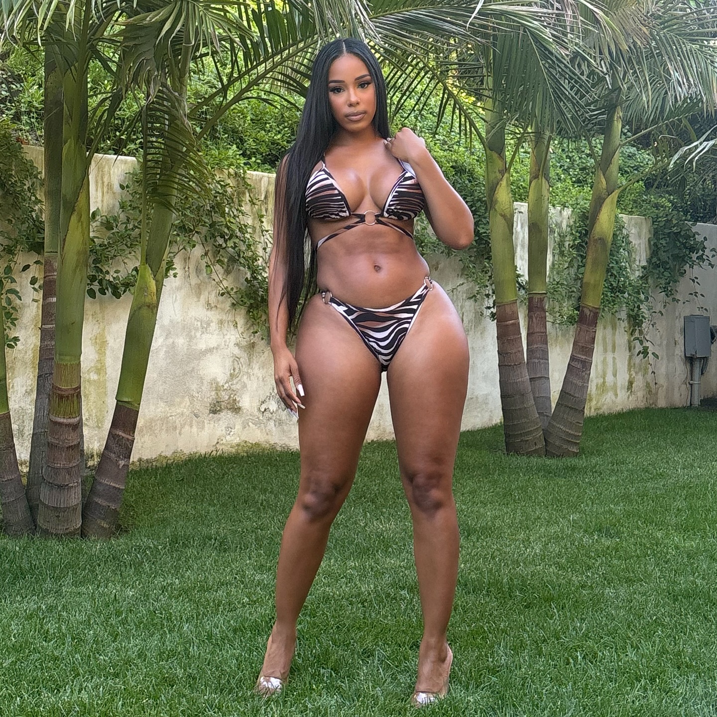 DynastySeries.com