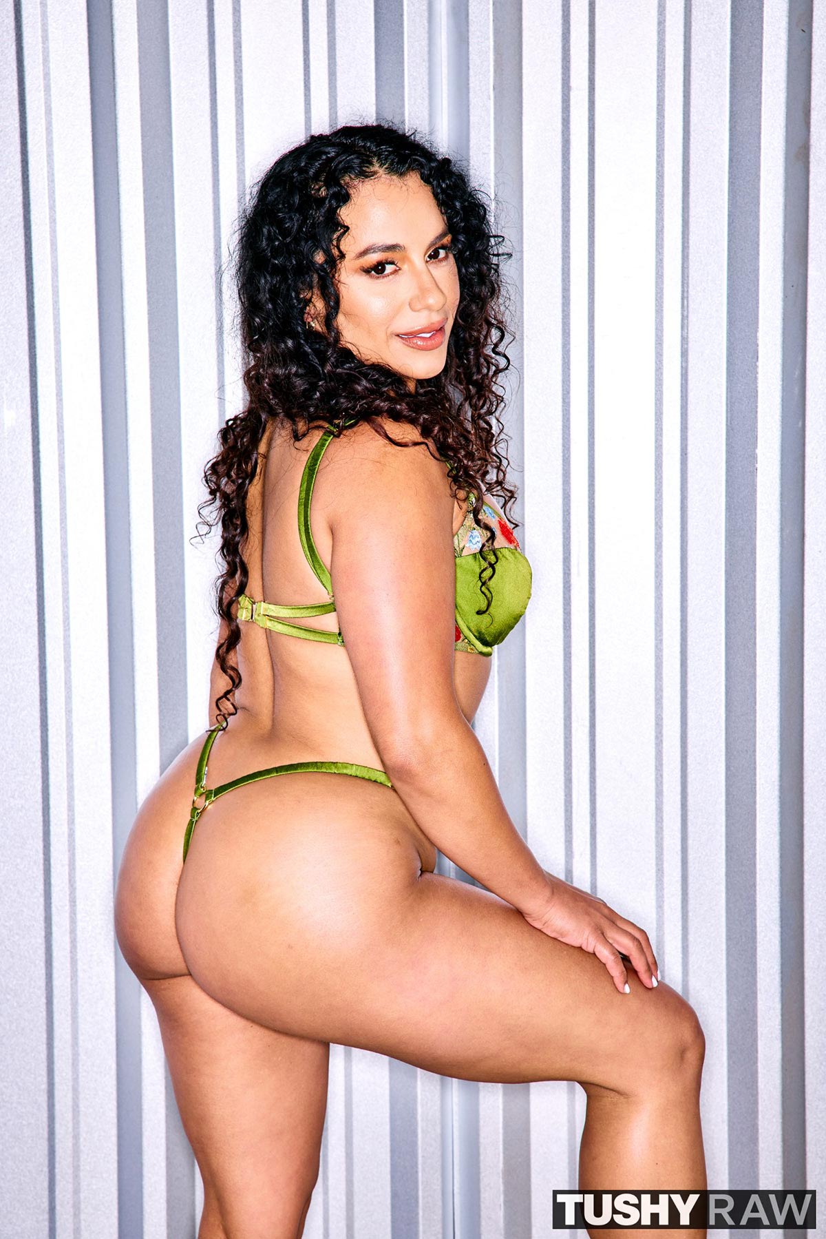 DynastySeries.com