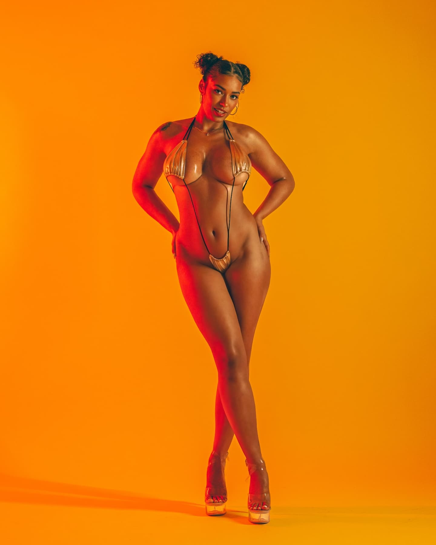 DynastySeries.com
