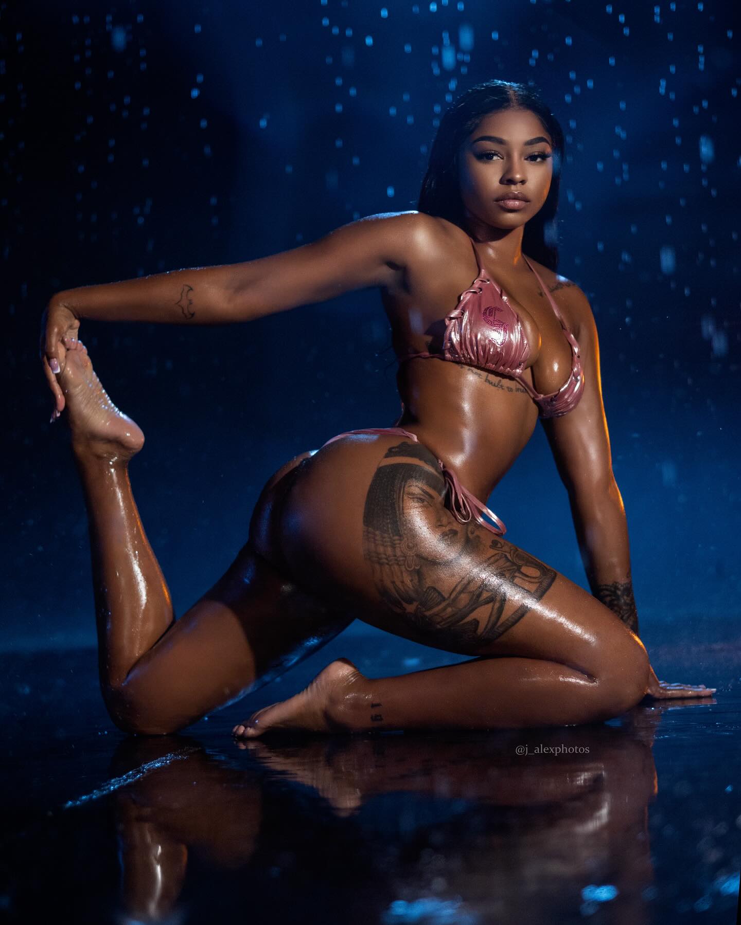DynastySeries.com