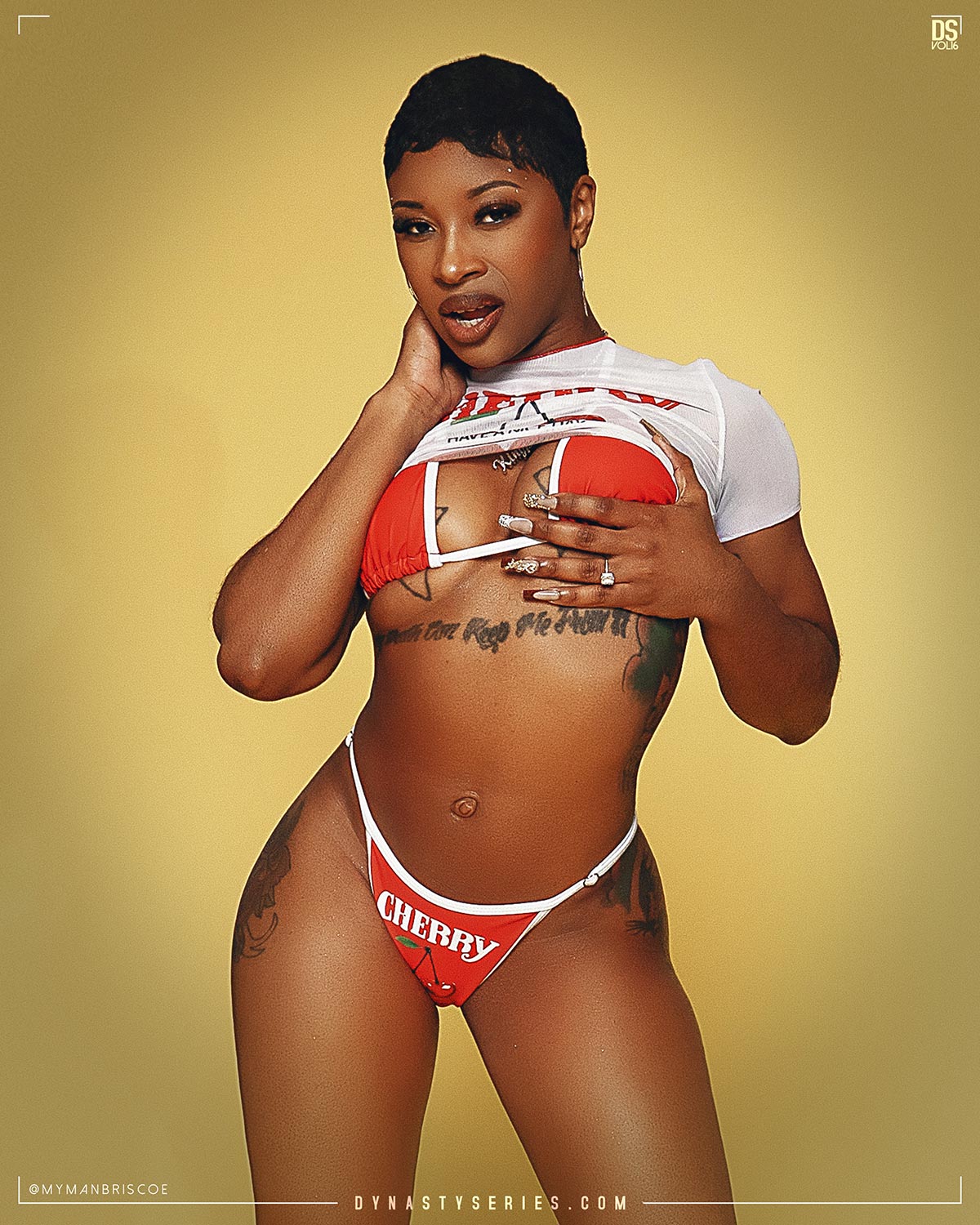 DynastySeries.com