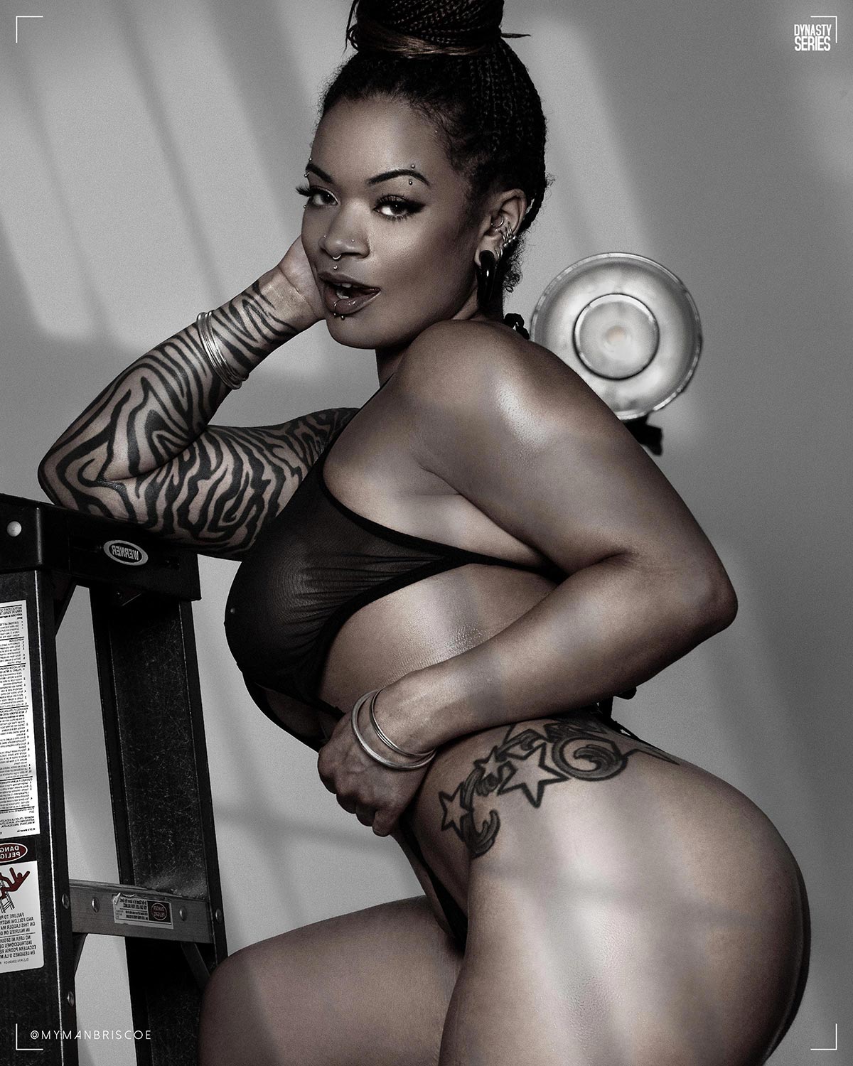 DynastySeries.com